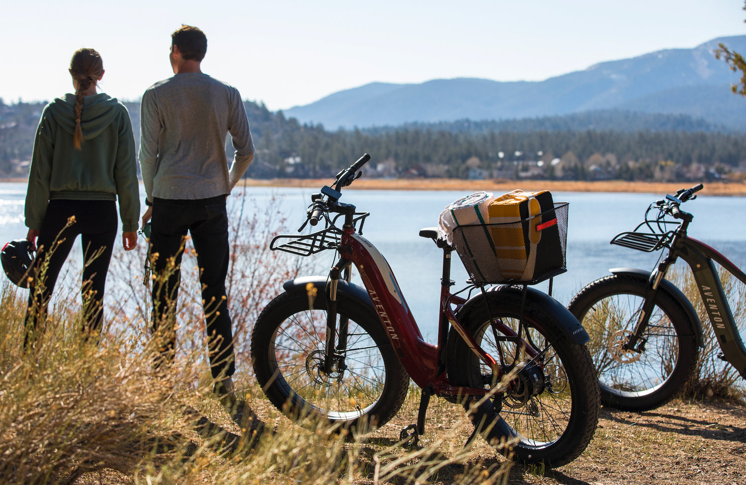 How to do maintenance on your aventon ebike in winter