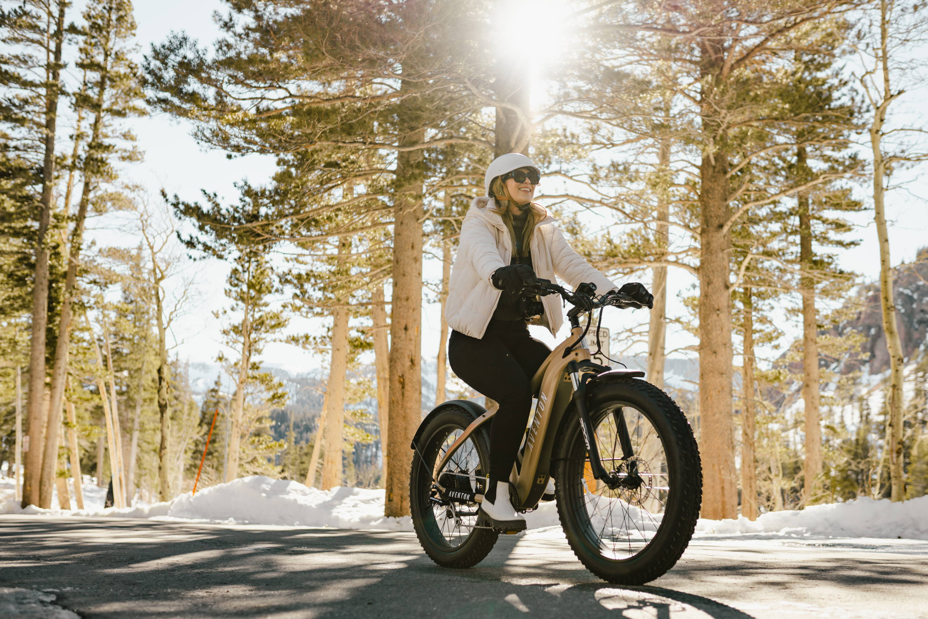Choosing the Right Aventon eBike for Canadian Terrain