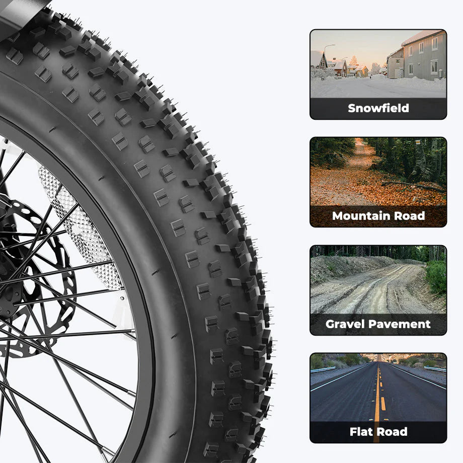 20" x 4" Puncture-Resistant Tires-Jaison RetroVolt Pro