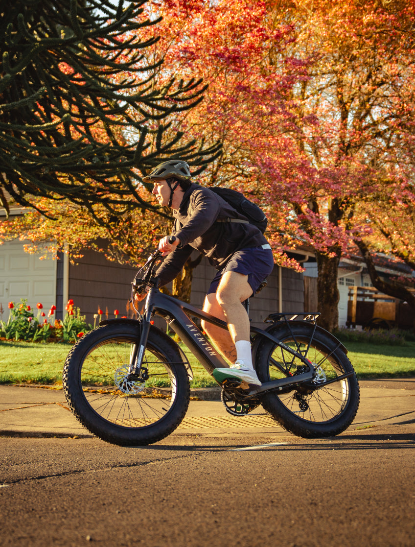 EZbike-AVENTON-Aventure 3 Step Over Ebike