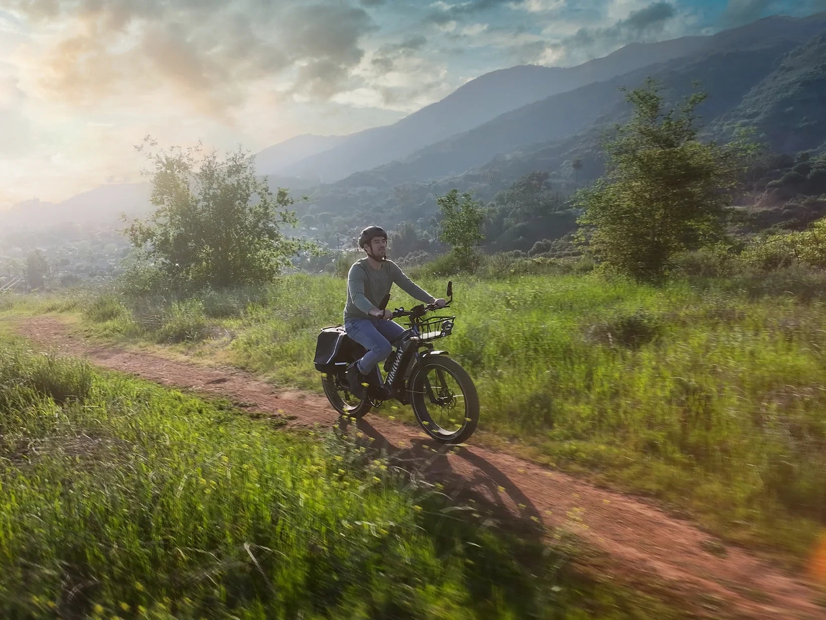 EZbike-HIMIWAY-D5 (Zebra) E-Bike