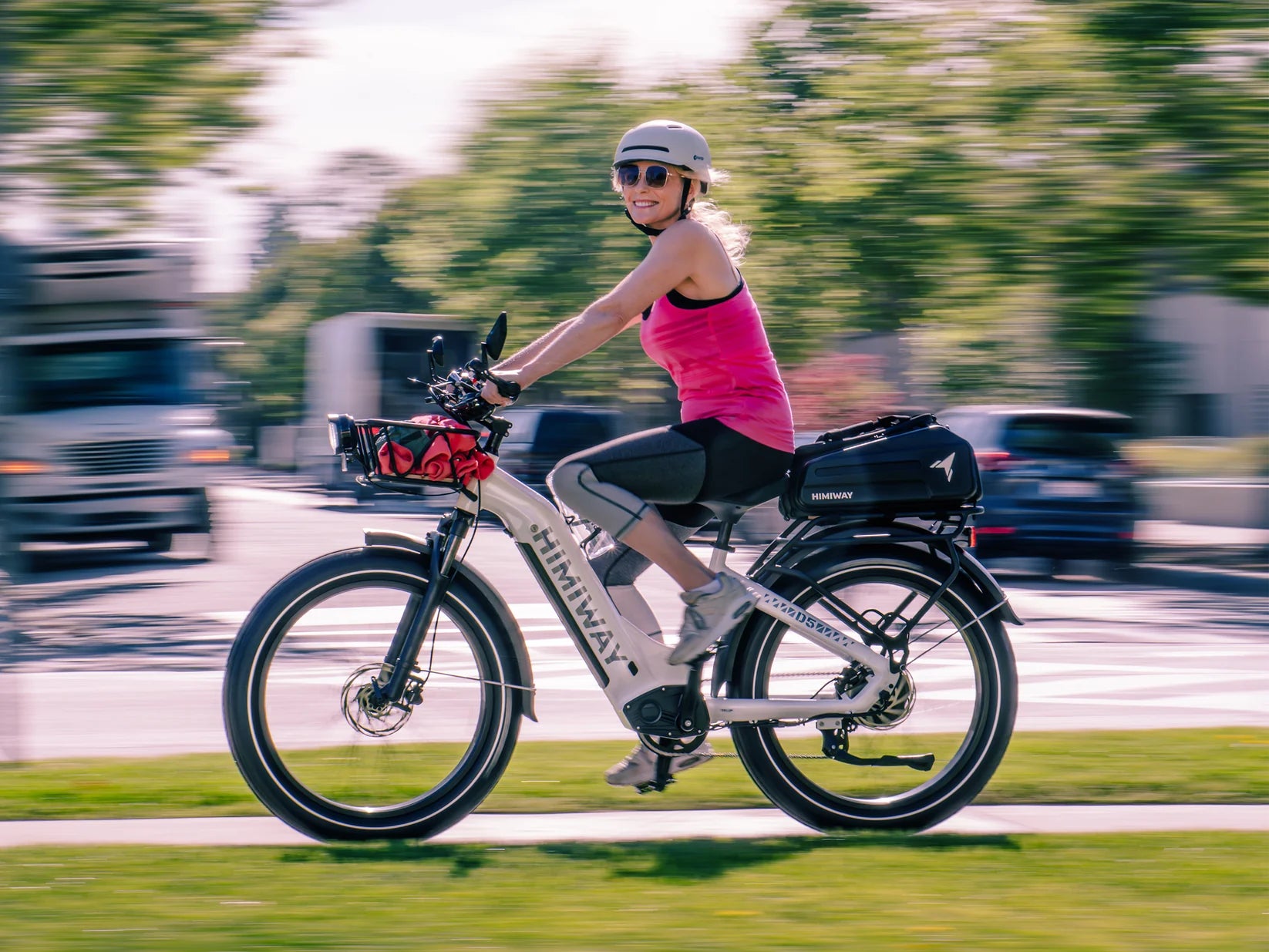 EZbike-HIMIWAY-D5 ST (Zebra ST) E-Bike