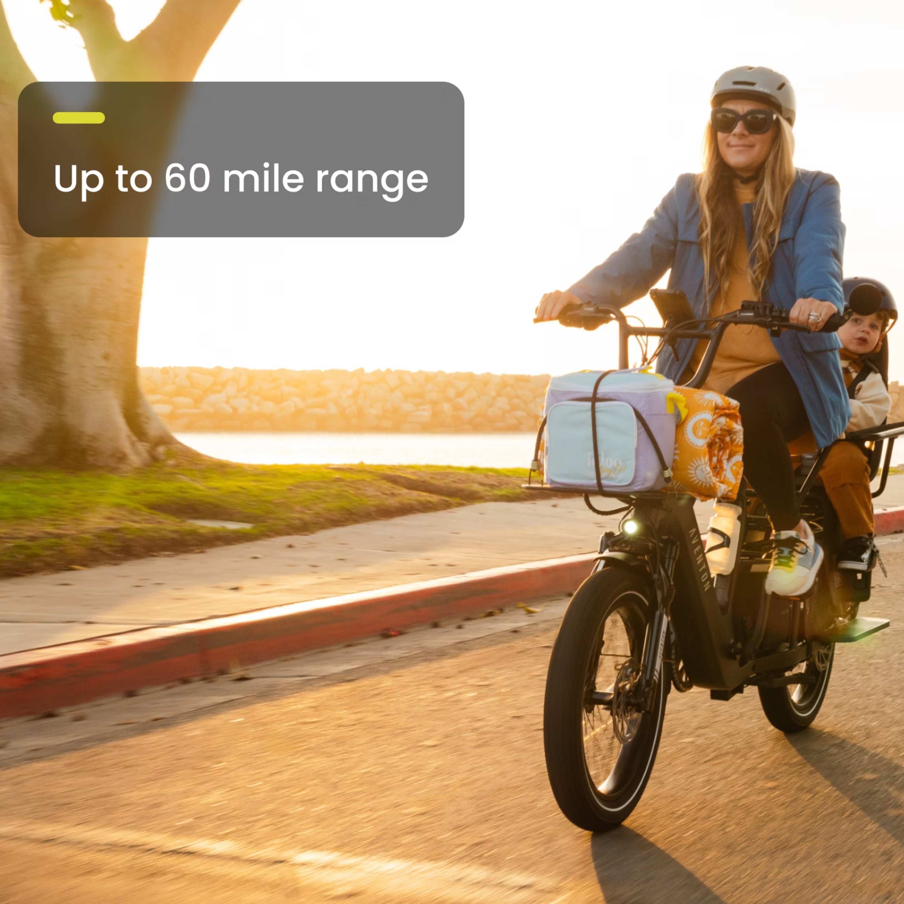 Abound LR E-Bike