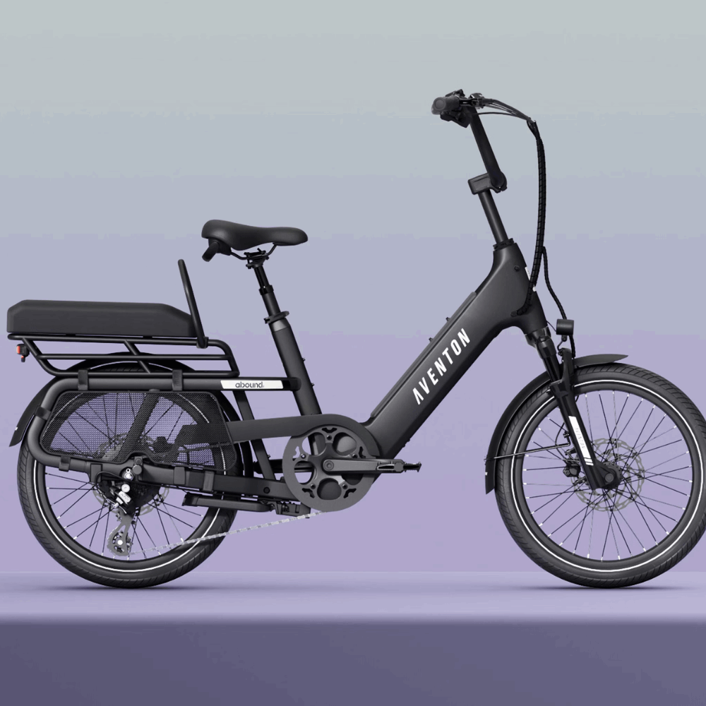 EZbike-AVENTON-Aventon Rear Seat Pad