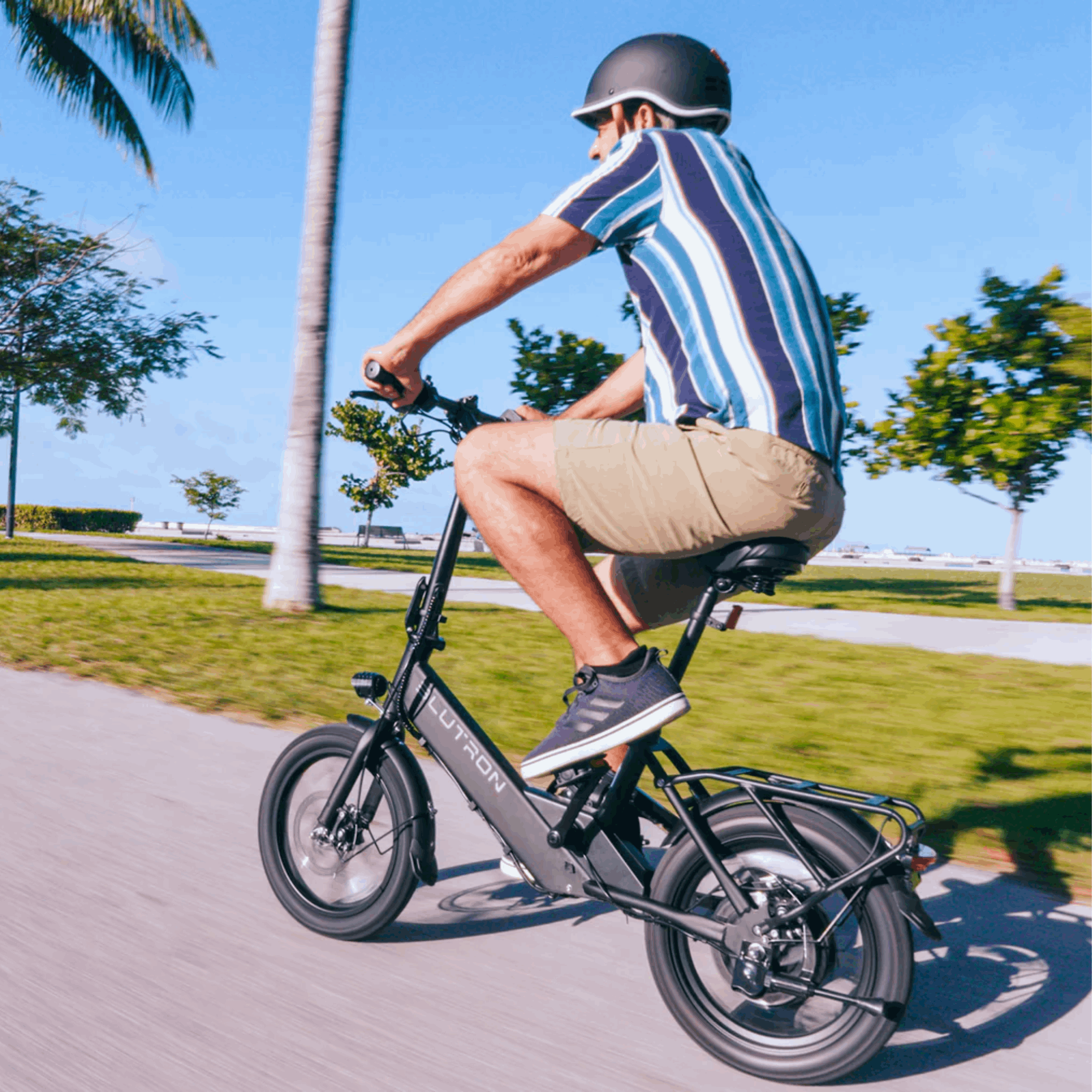 EB350F E-Bike