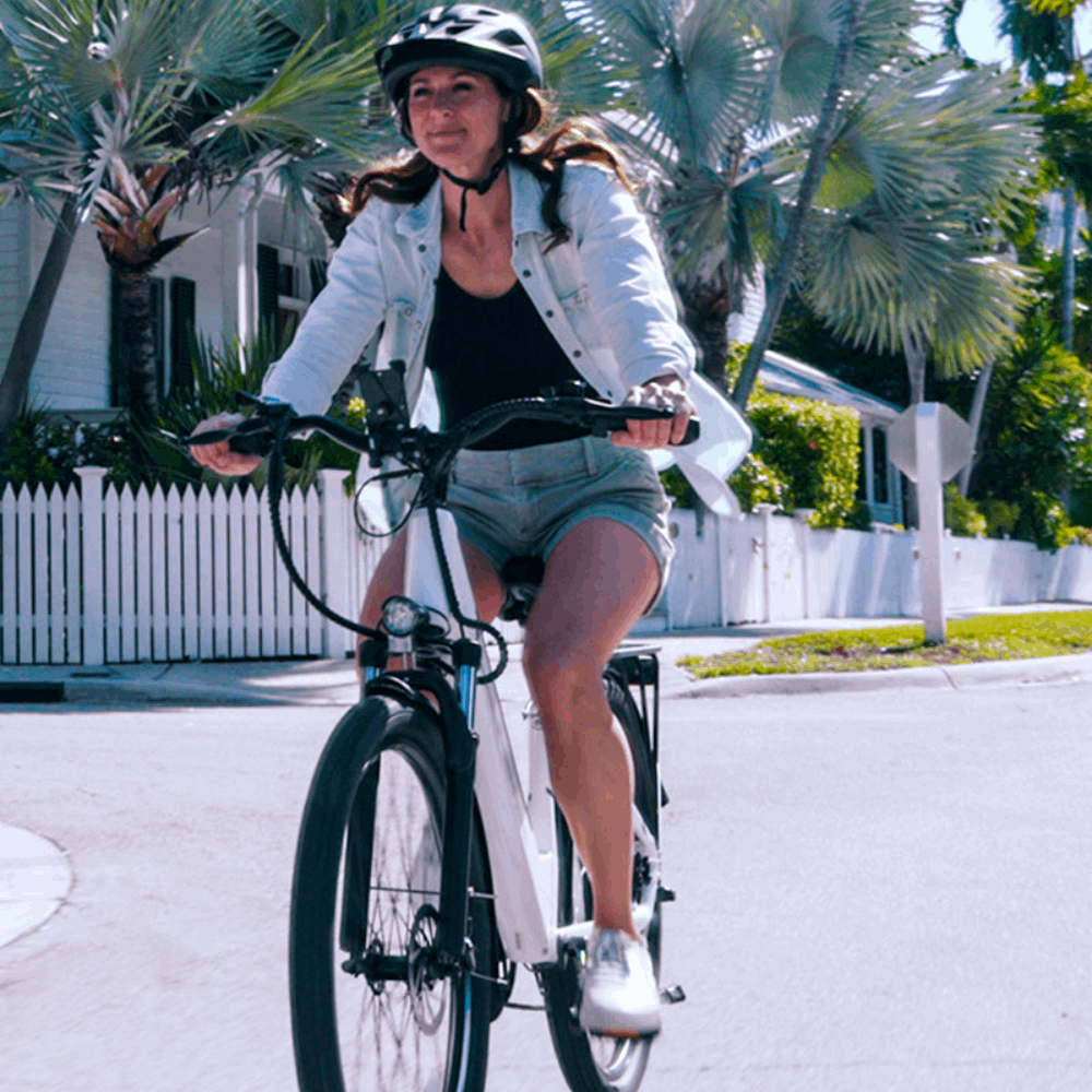 EB650 E-Bike