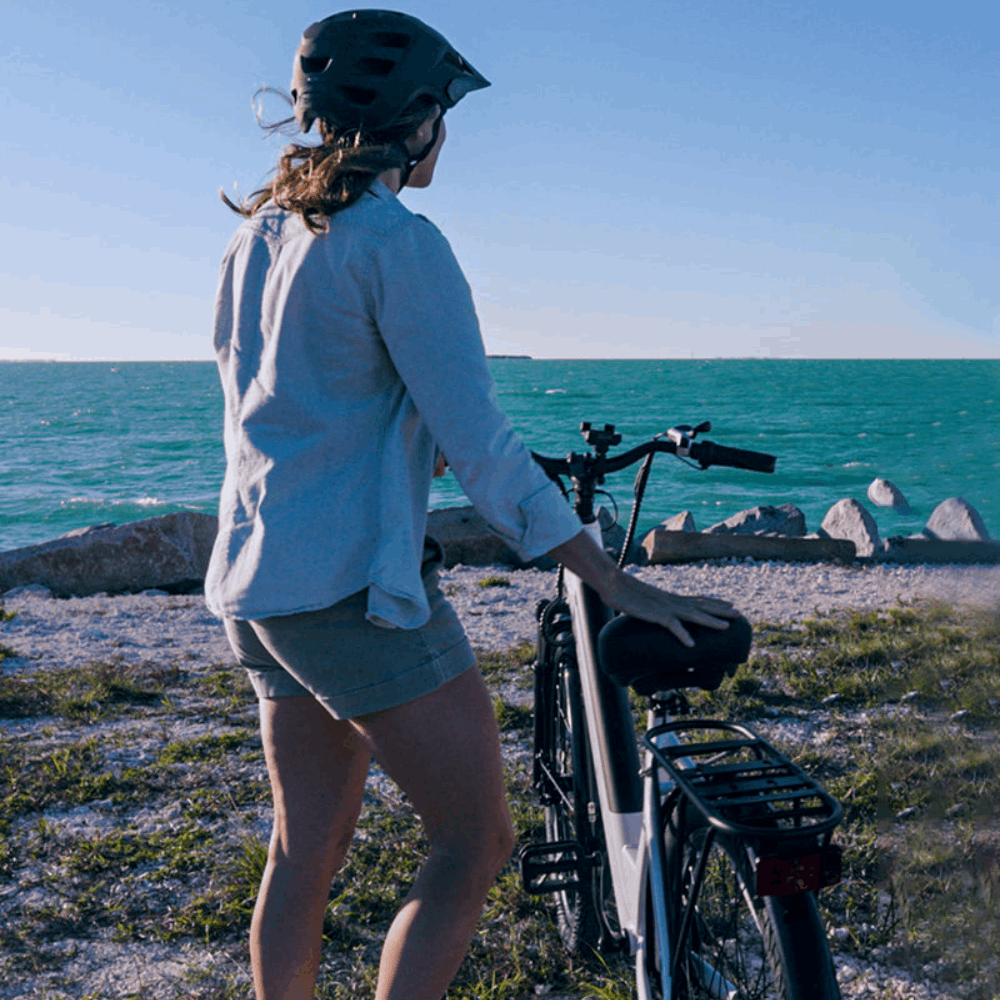 EB650 E-Bike