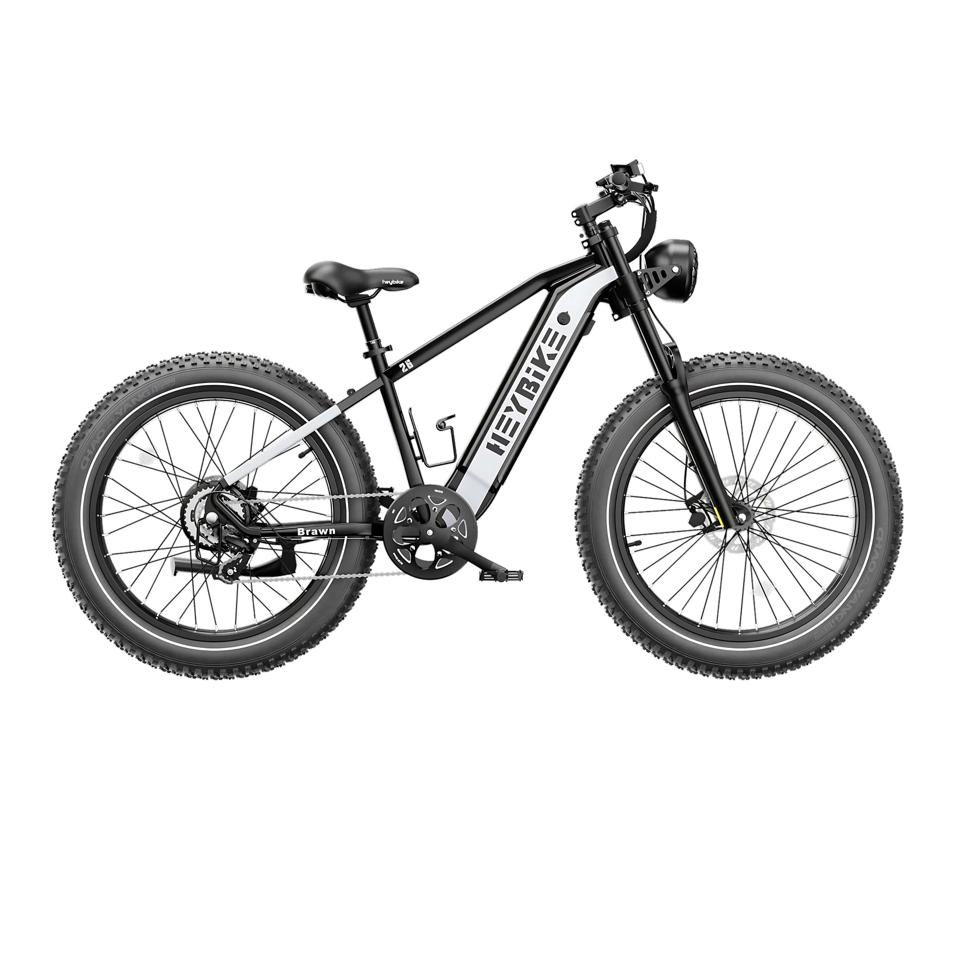 Brawn E-Bike