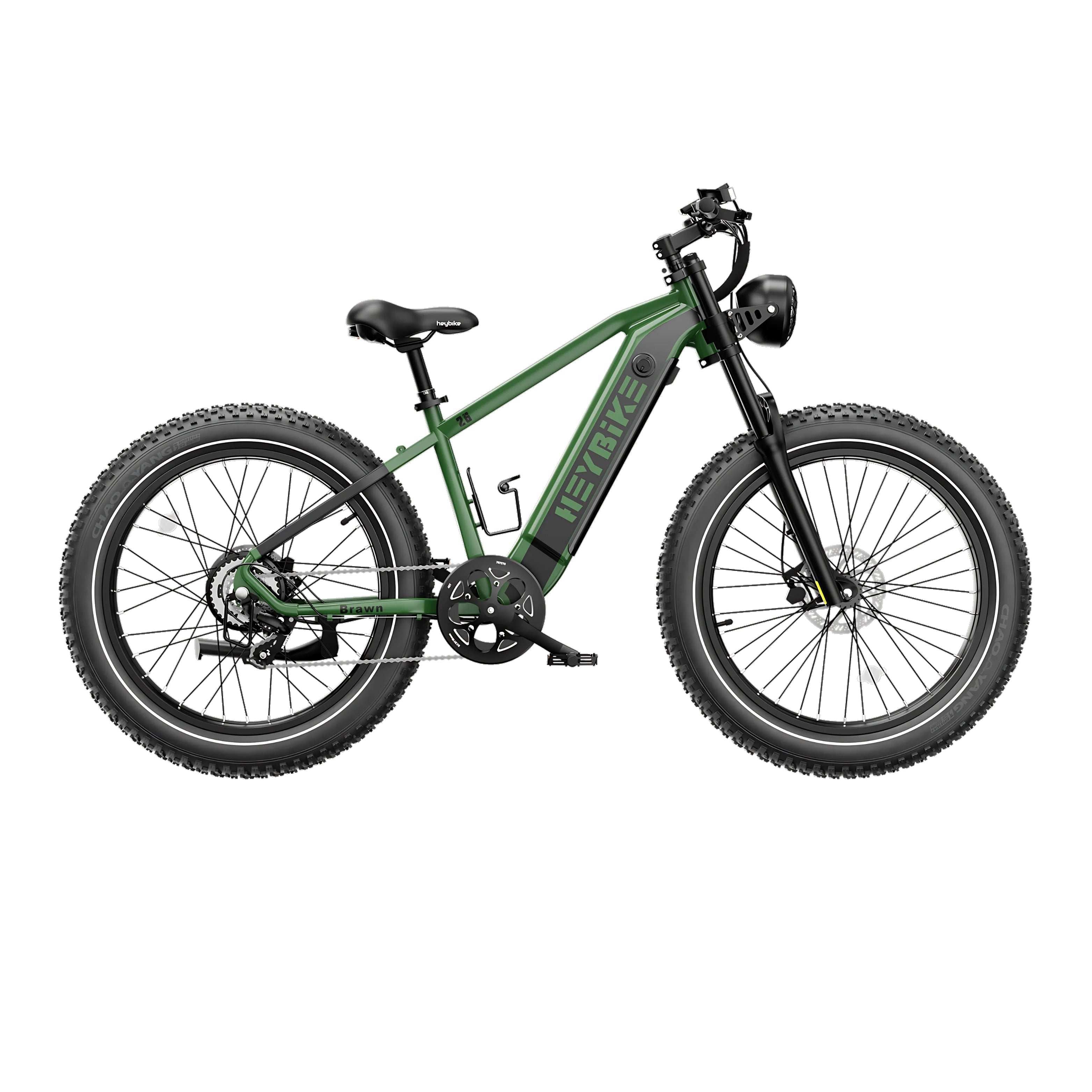 Brawn E-Bike