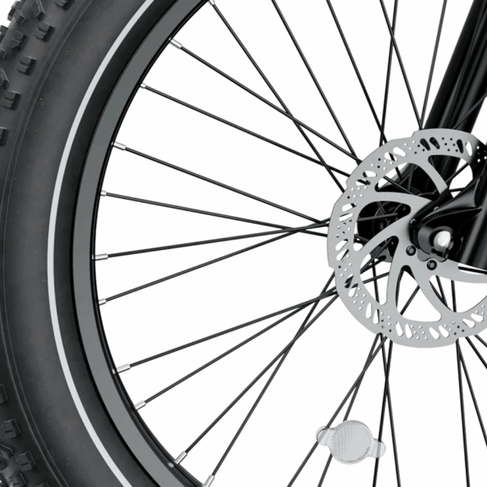 Brawn E-Bike