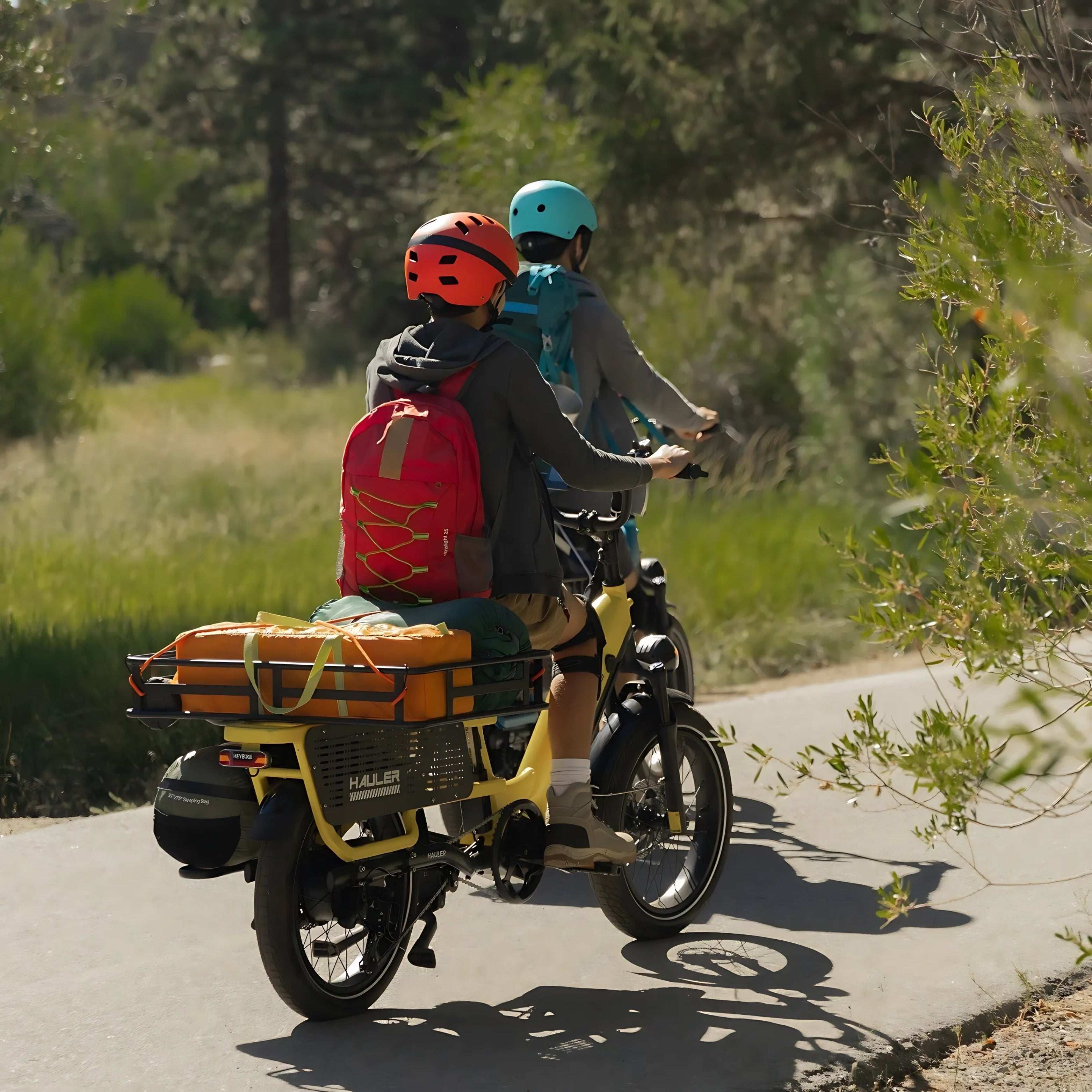 EZbike-HEYBIKE-Hauler E-Bike
