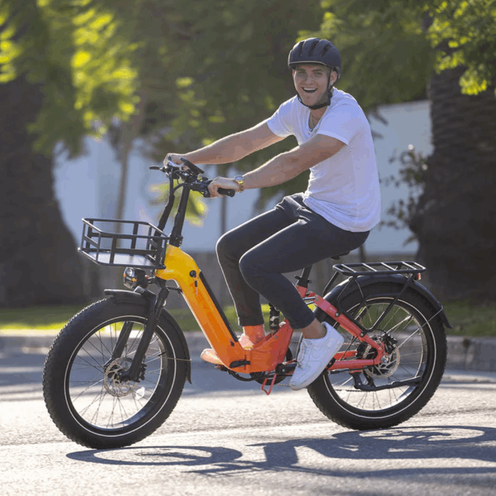 Horizon E-Bike