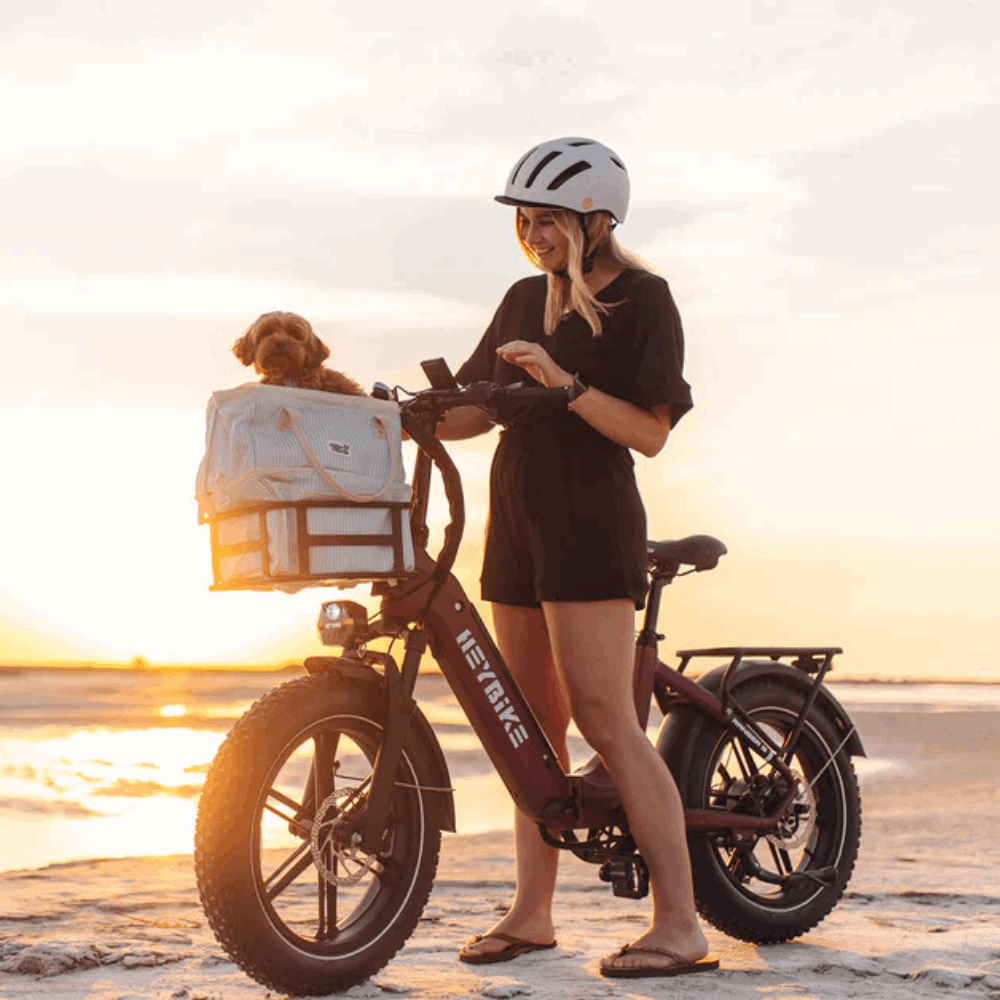 Ranger S E-Bike