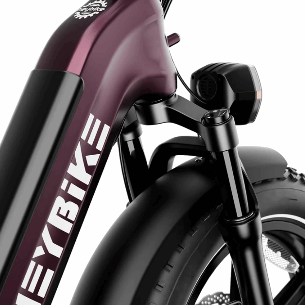 Ranger S E-Bike
