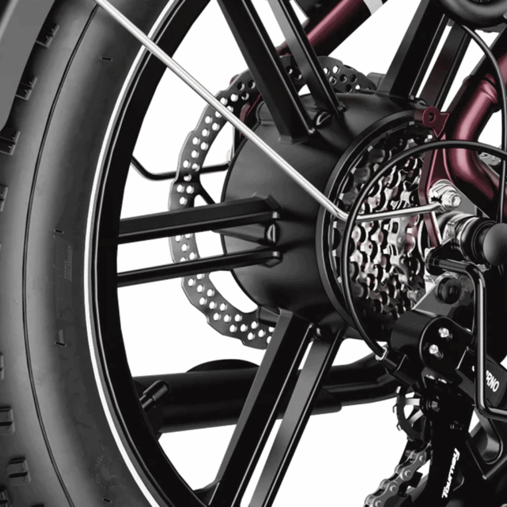 Ranger S E-Bike