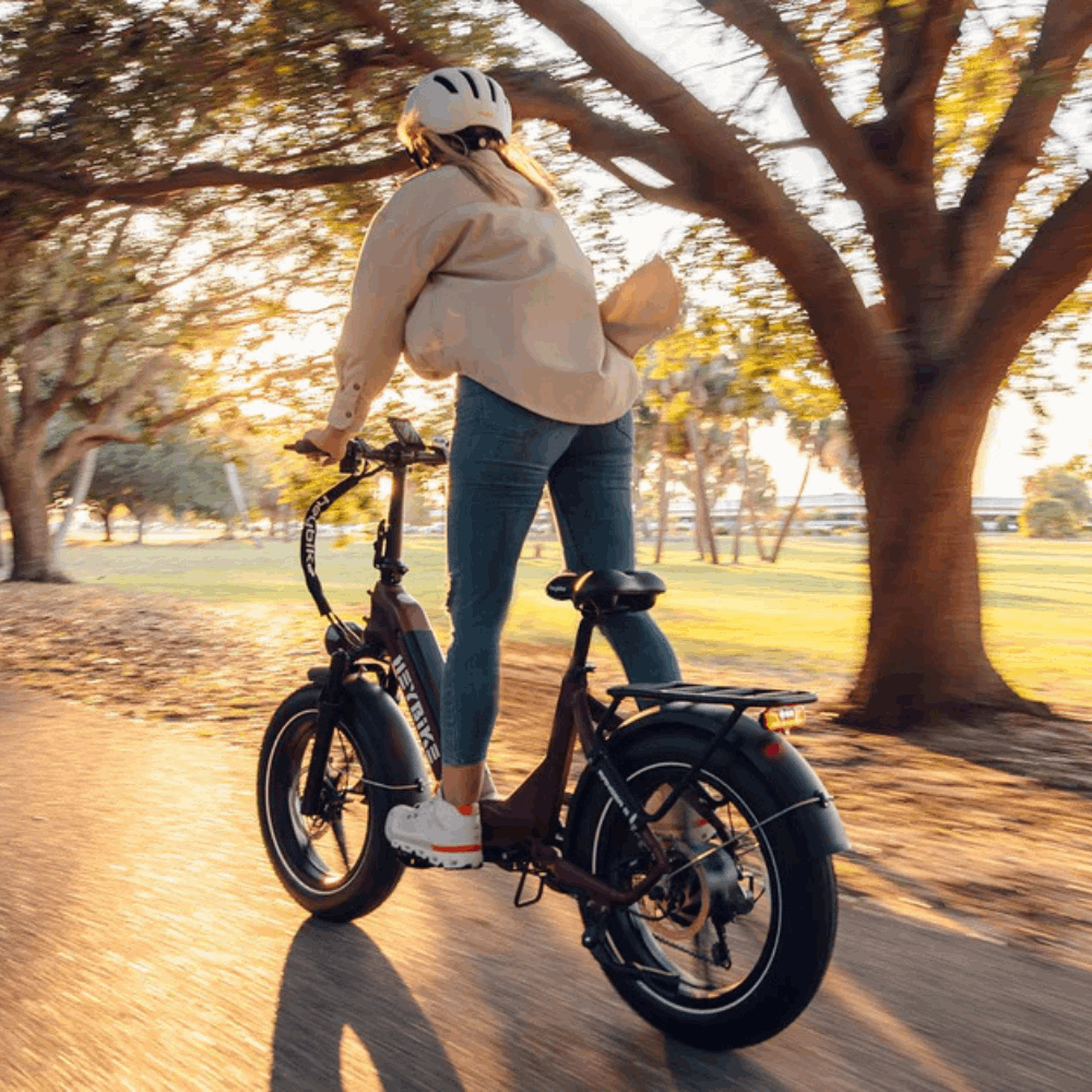 Ranger S E-Bike