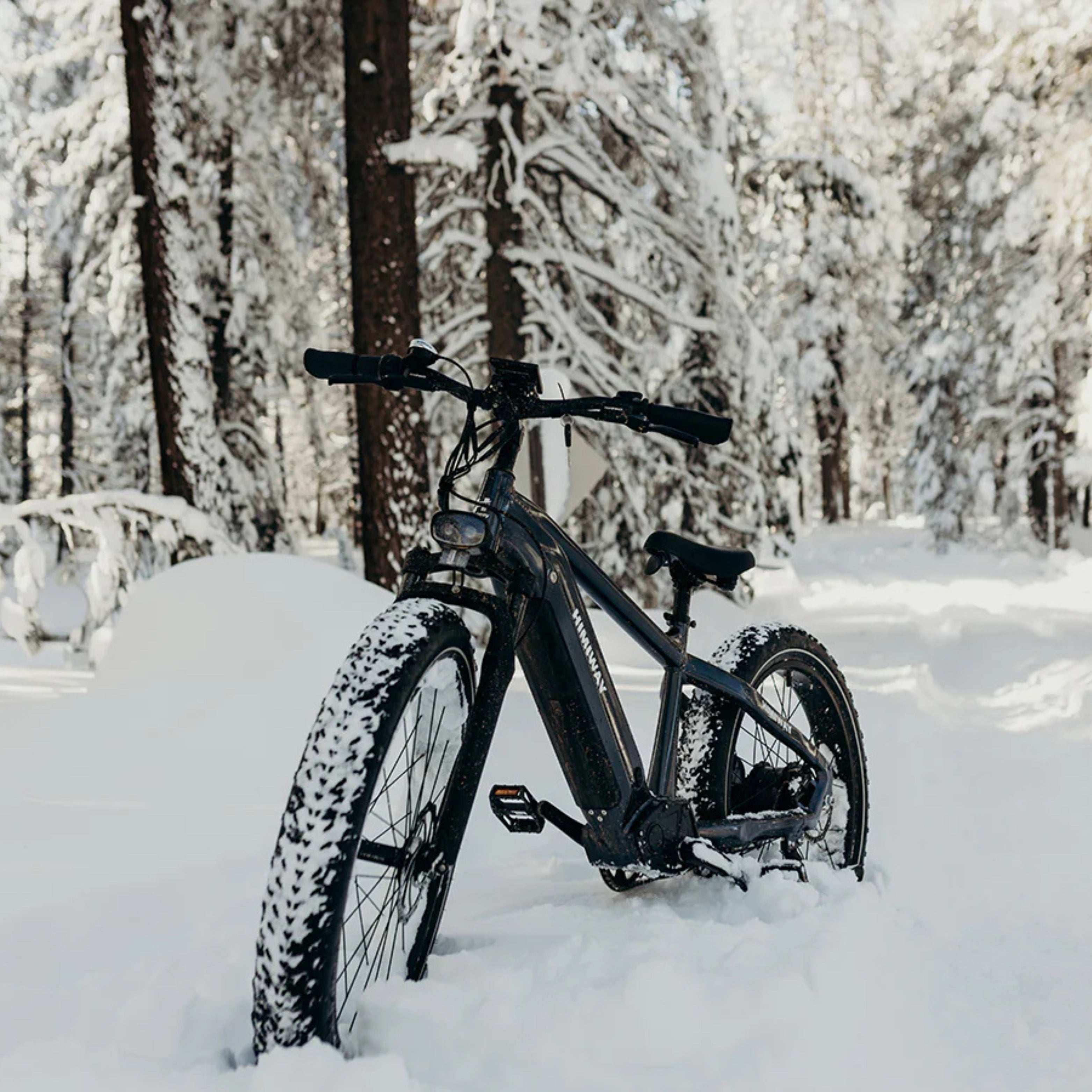 D5 (Zebra) E-Bike