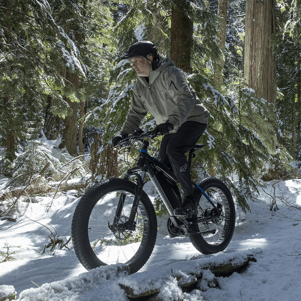 Aspen E-Bike