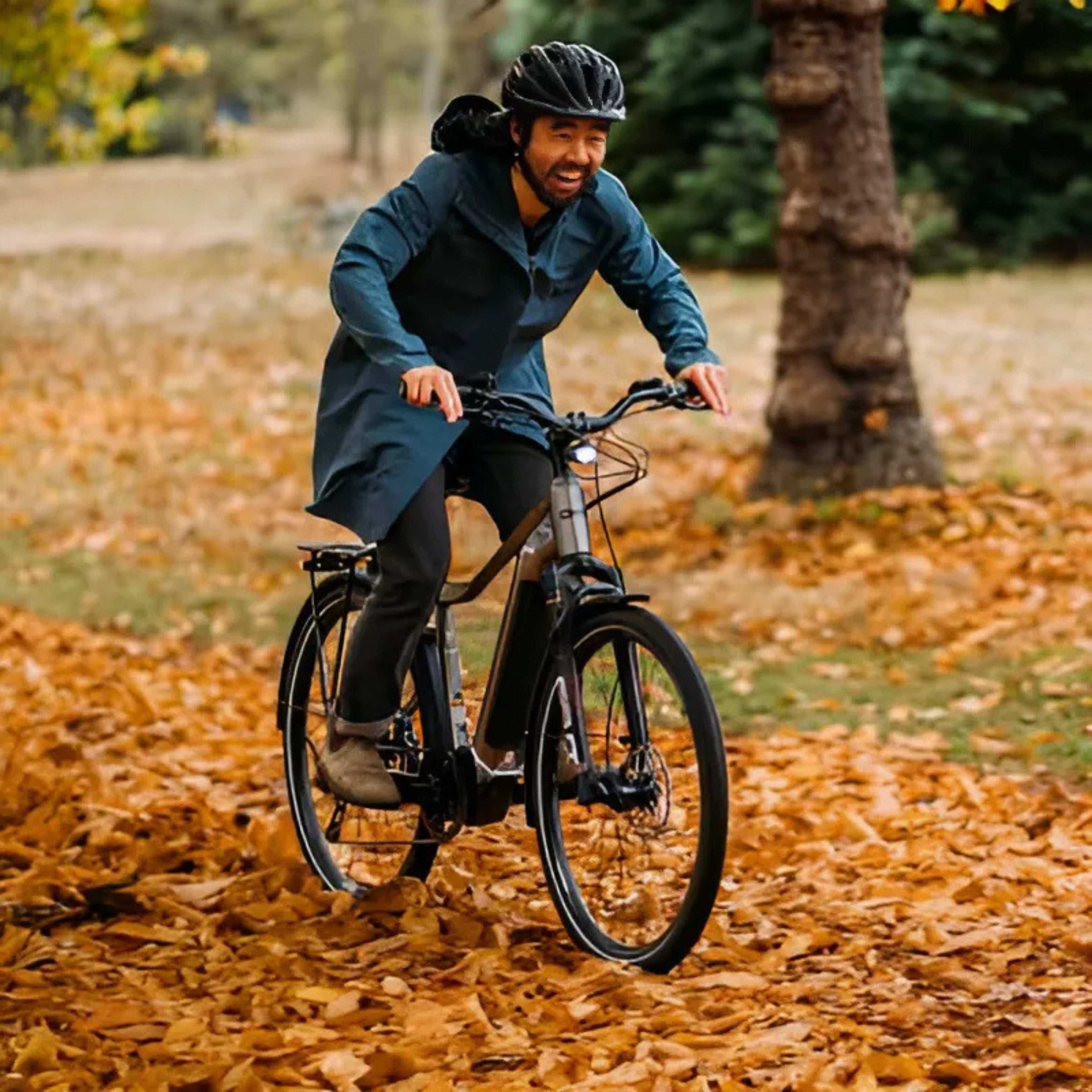 Quest 3 E-Bike