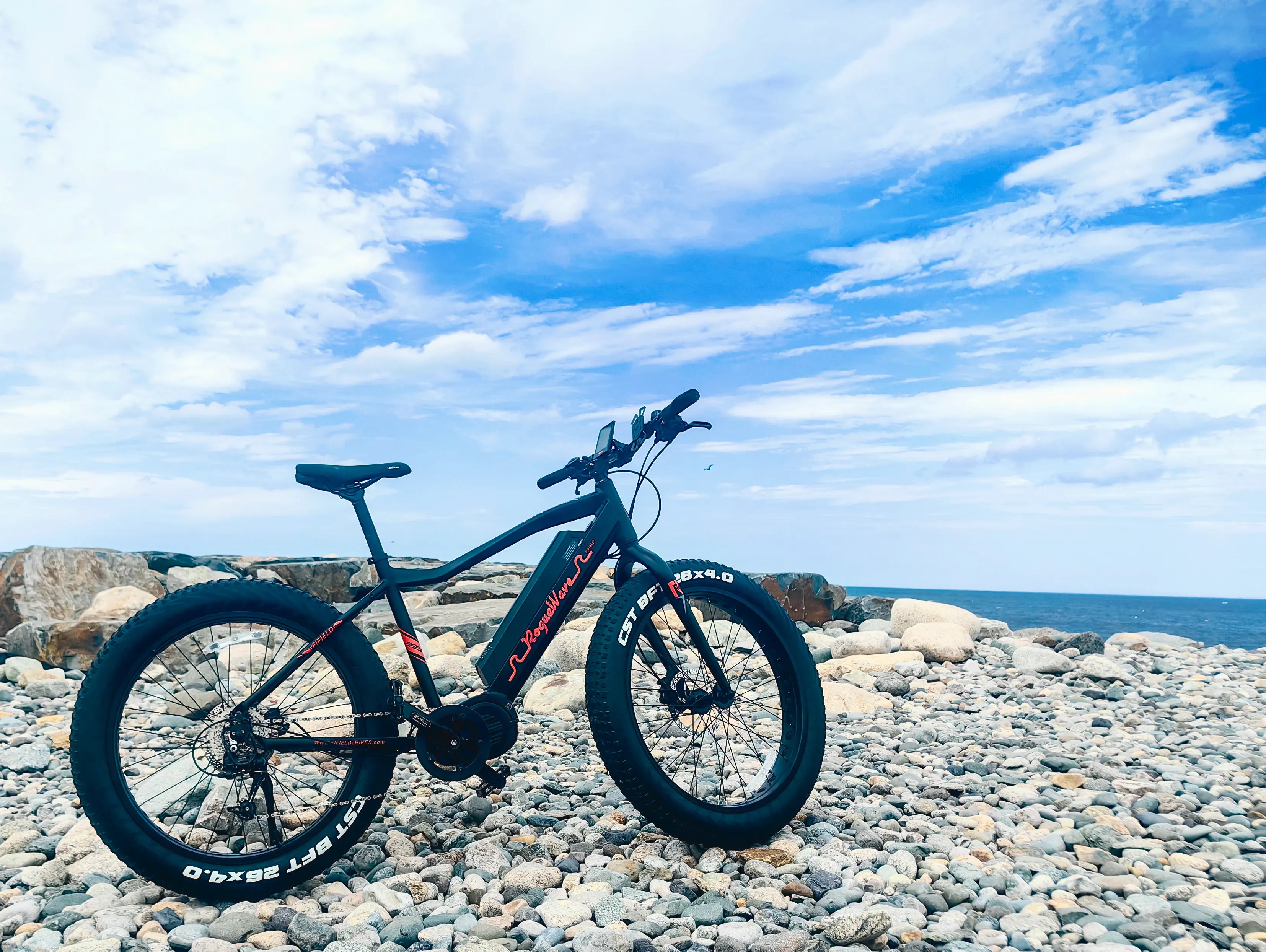 EZbike-Fifield Rogue Wave-Fifield