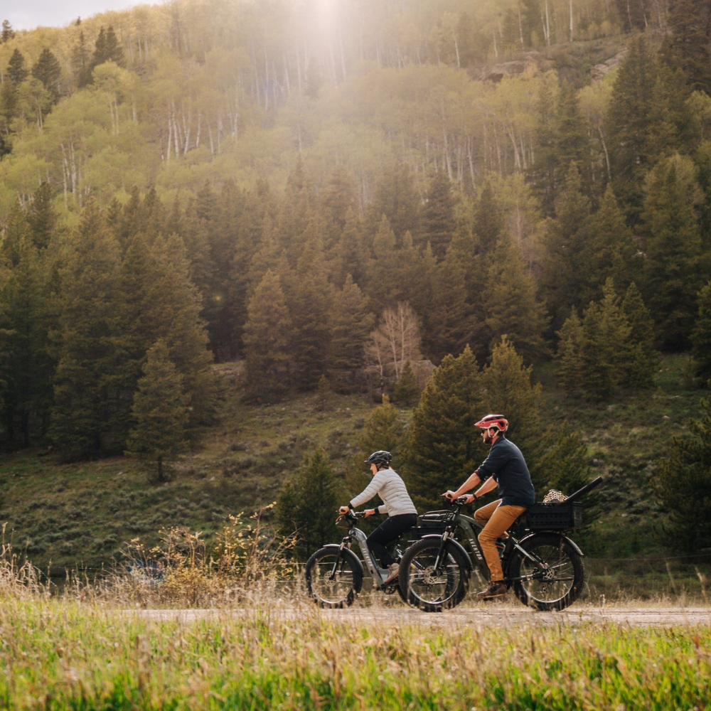 EZbike-AVENTON-Aventure 2 E-Bike