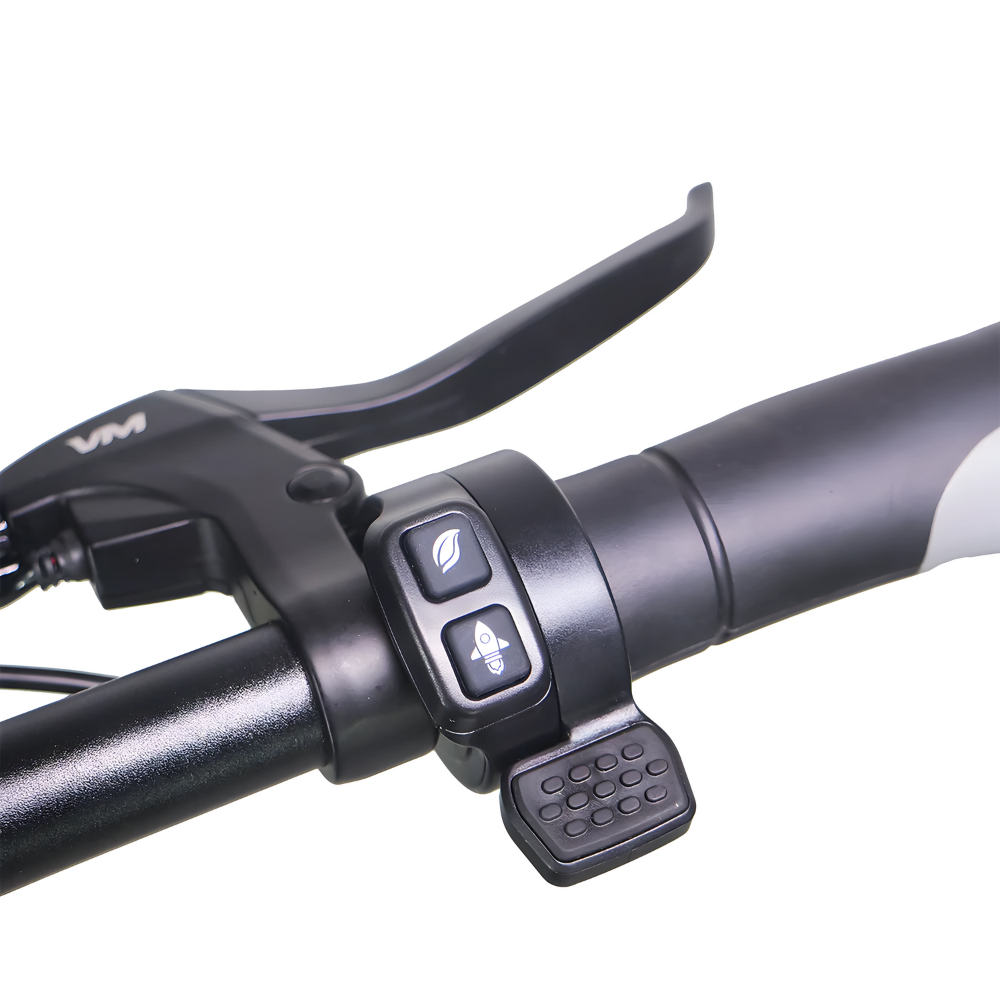 EZbike-EMOVE-RoadRunner V2