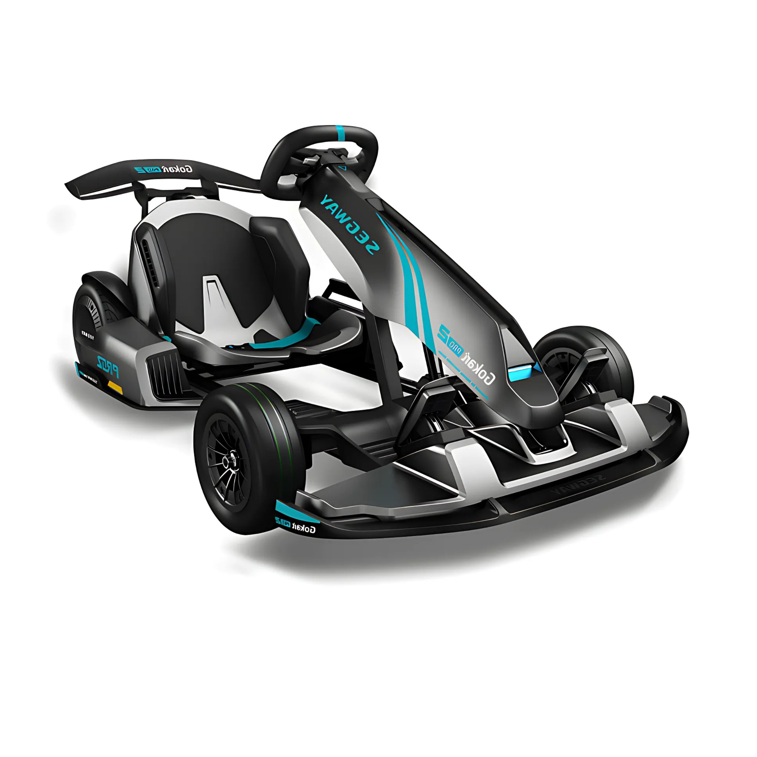 EZbike-SEGWAY-GoKart Pro 2