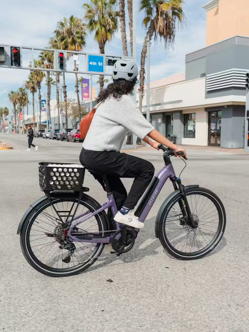 Up to 110 Miles Range-Aventon Level 4 ADV