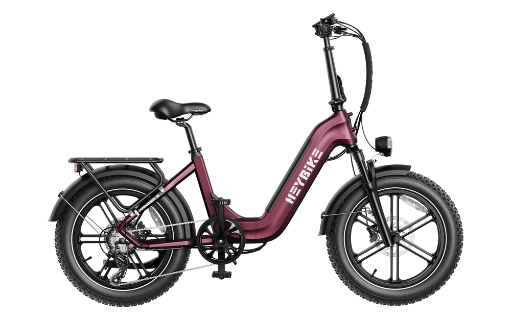HEYBIKE RANGER S ヘイバイク 電動アシスト自転車 EZbike Canada | Heybike Ranger S 750W Off-Road E-Bike