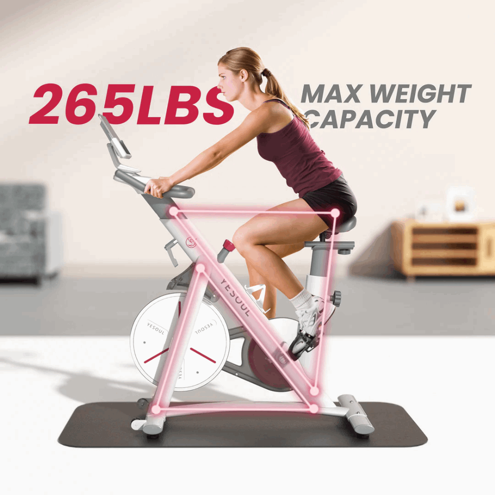 EZbike-YESOUL-S3 Indoor Exercise Bike