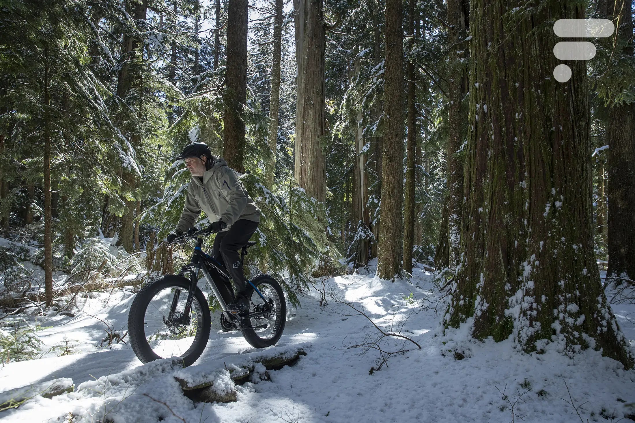 EZbike Ncm Bike Collection | Best Fat Tire ebike