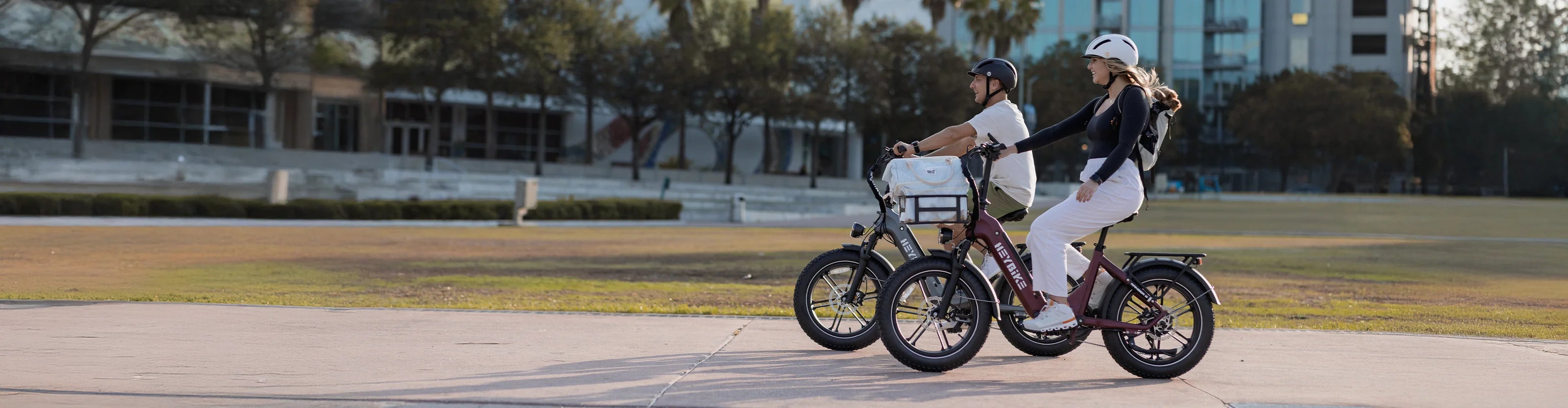 EZbike heybike collection | Best Folding ebike