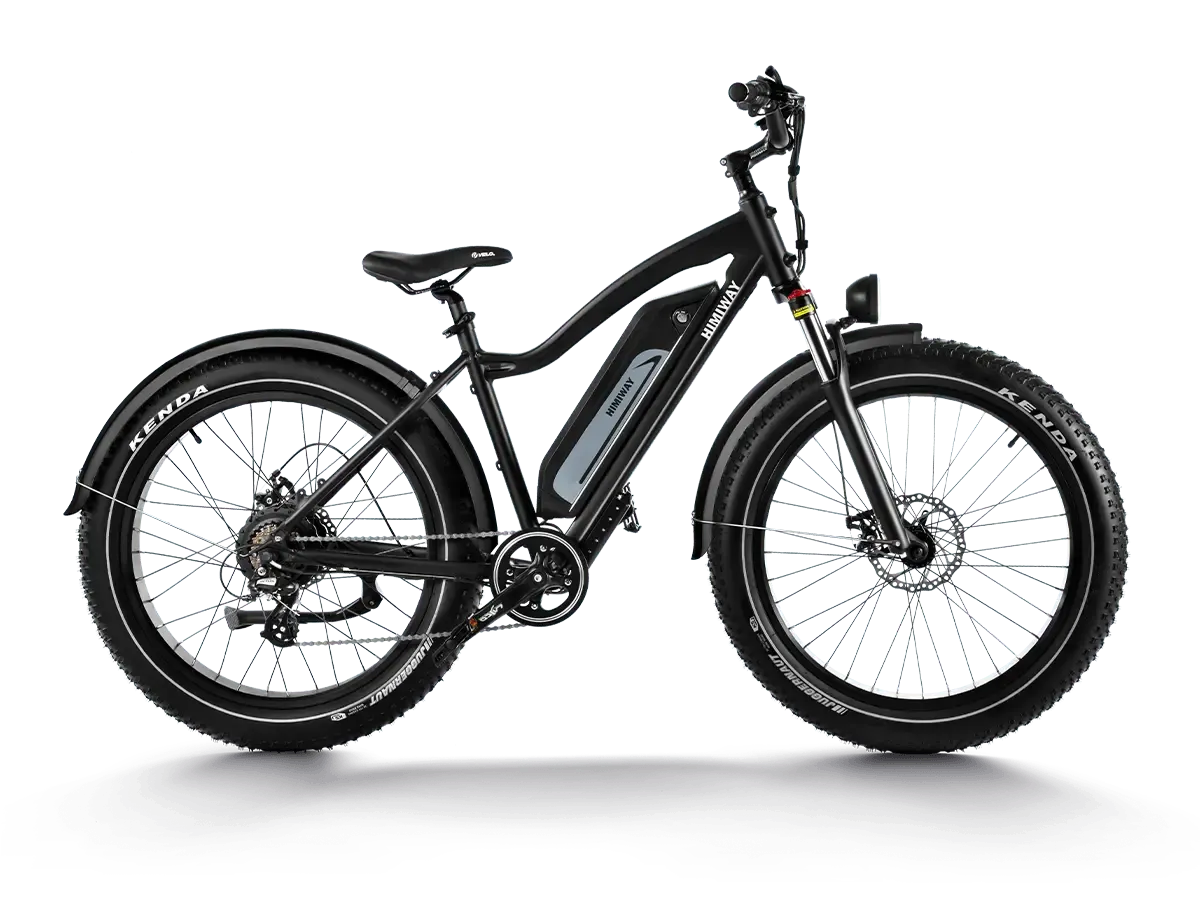 D3 (Cruiser) | Long Range Fat Tire Electric Bike