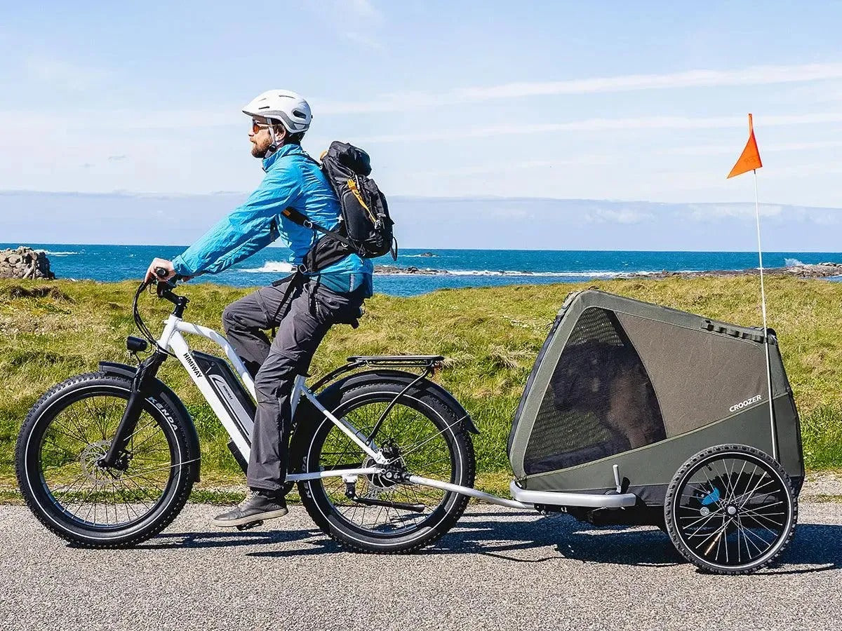 EZbike-HIMIWAY-D3 ST(Cruiser ST)