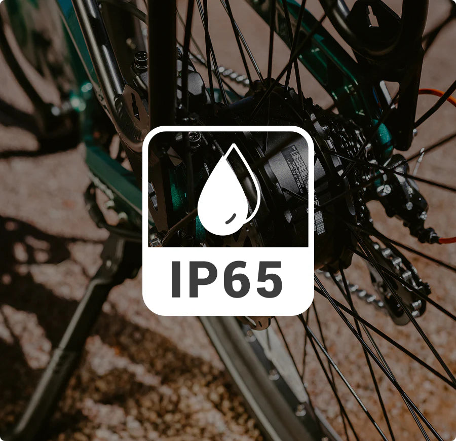 IPX6/IPX5 Water-resistance-Heybike Hybrid