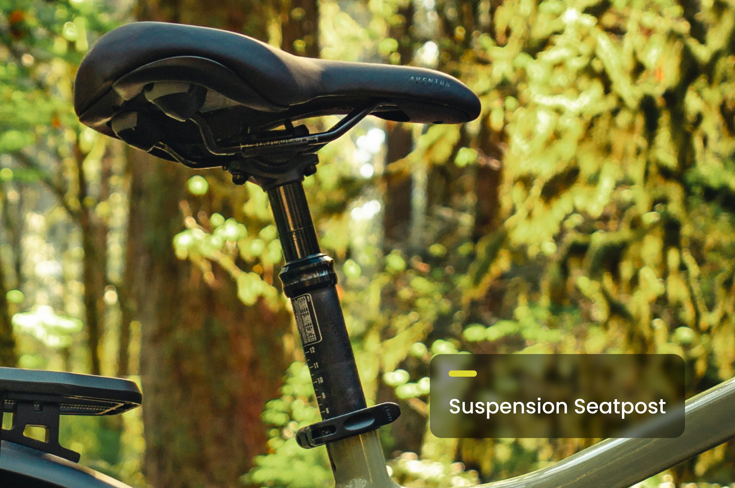 seatpost
