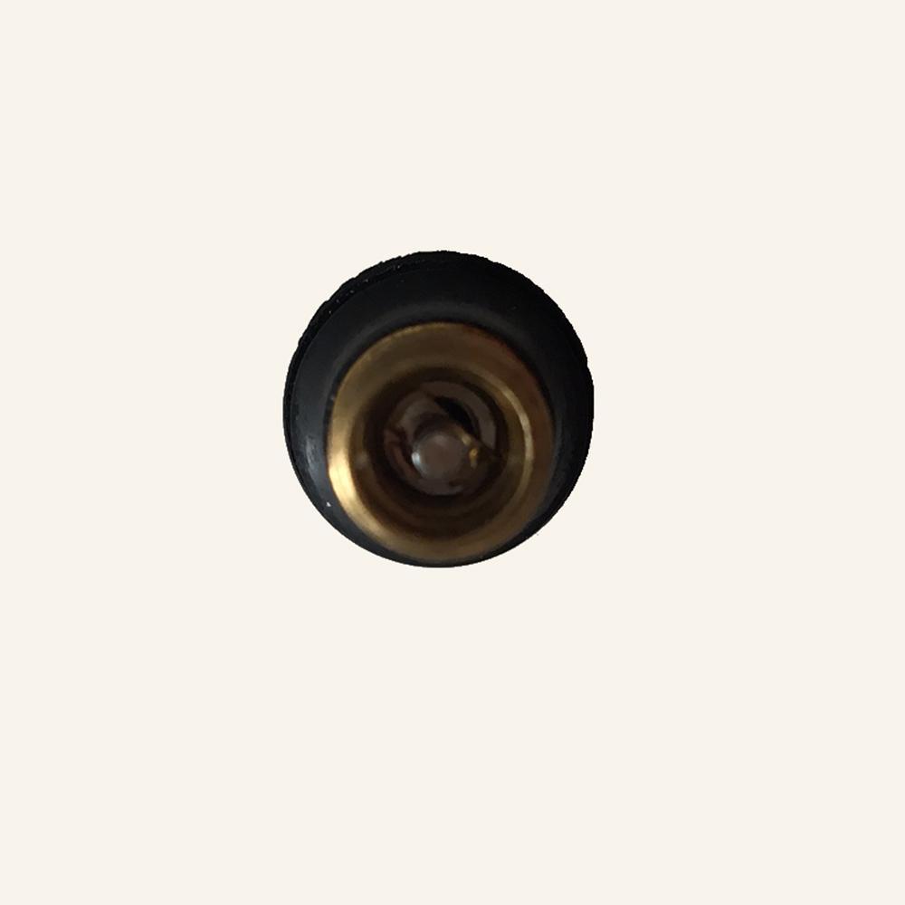 EZbike-EZbike Canada-Segway Ninebot Valve Stem