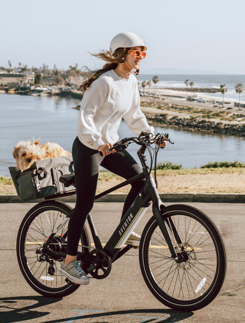 EZbike-AVENTON-Pace 500.3 E-Bike