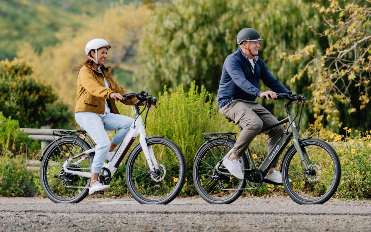 Level.2 Step-Through Commuter Ebike