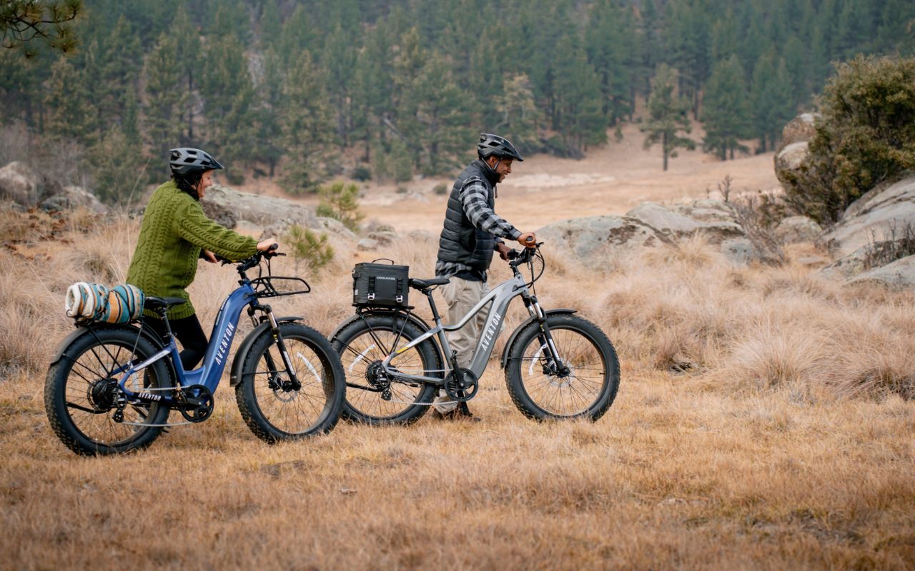 Ezbike Canada:Fat Tire Electric Bike Best Seller In Canada