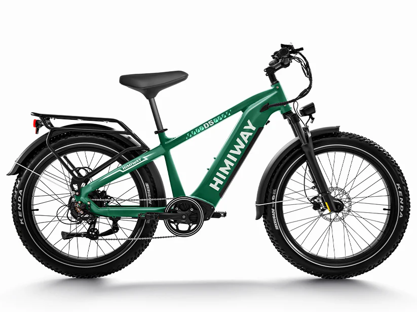 D5 (Zebra) E-Bike