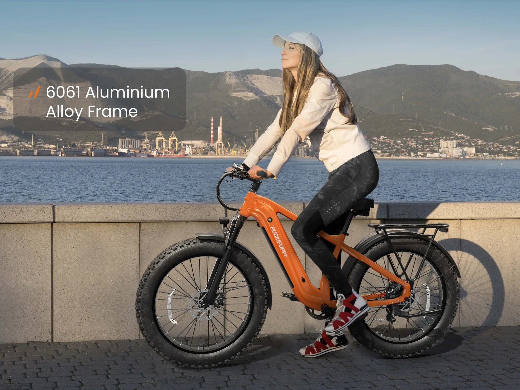 Beagle 2 Ebike