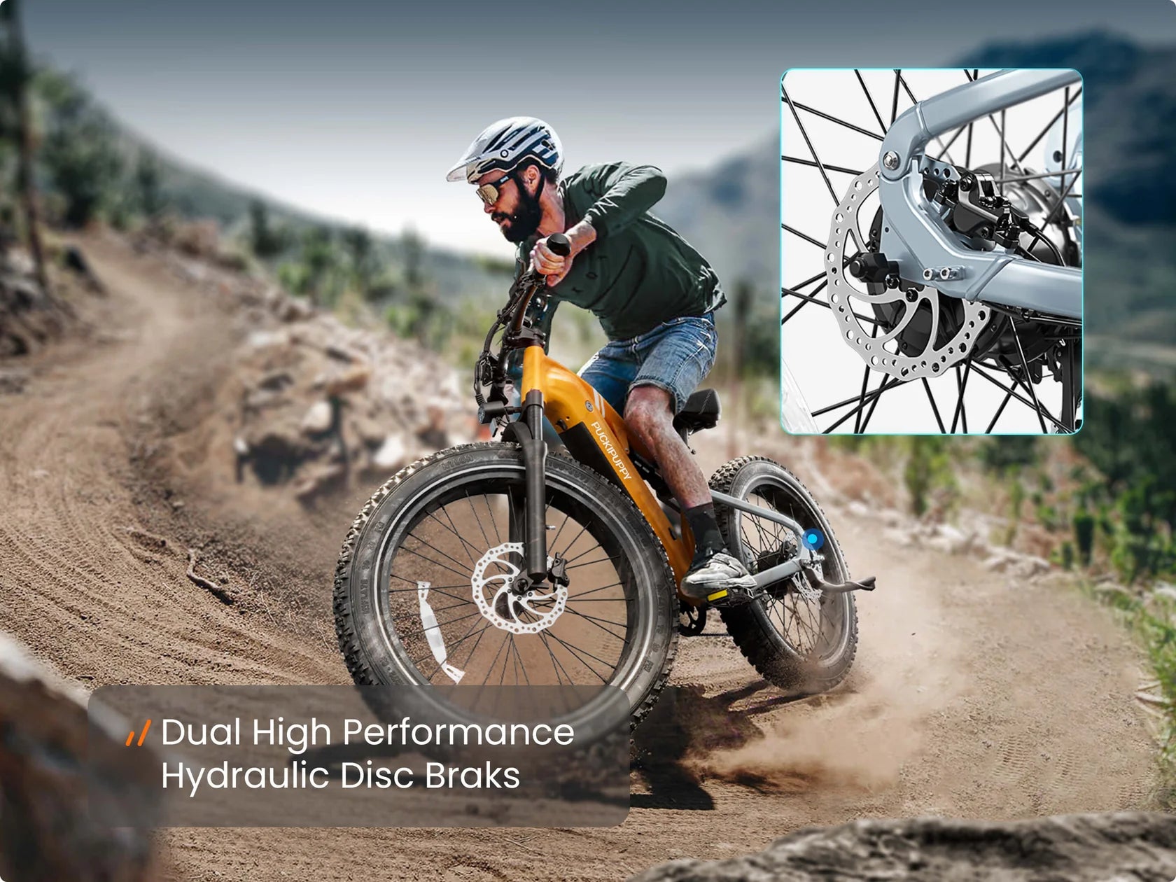 Labrador Pro Ebike
