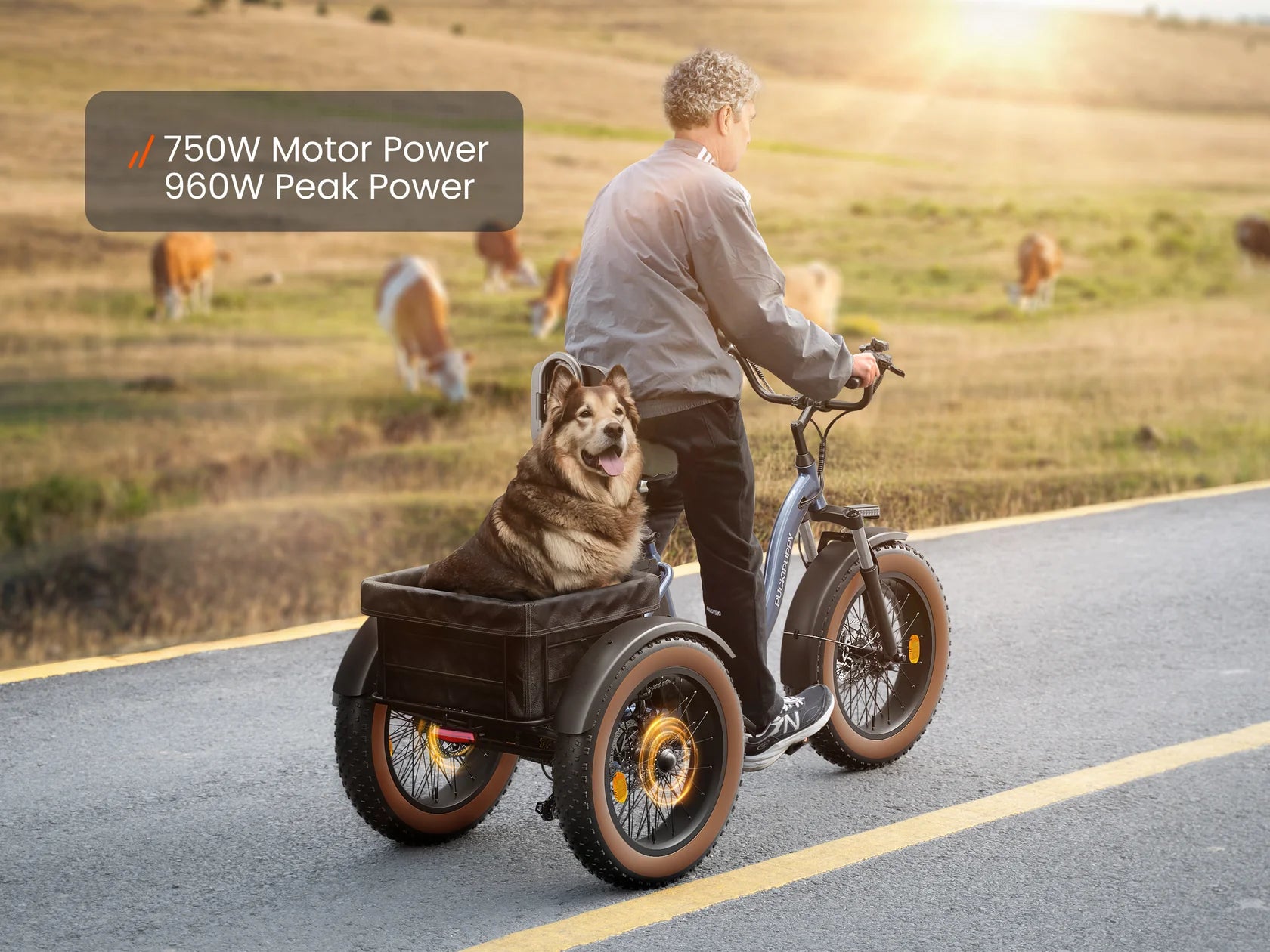 Alaskan Etrike