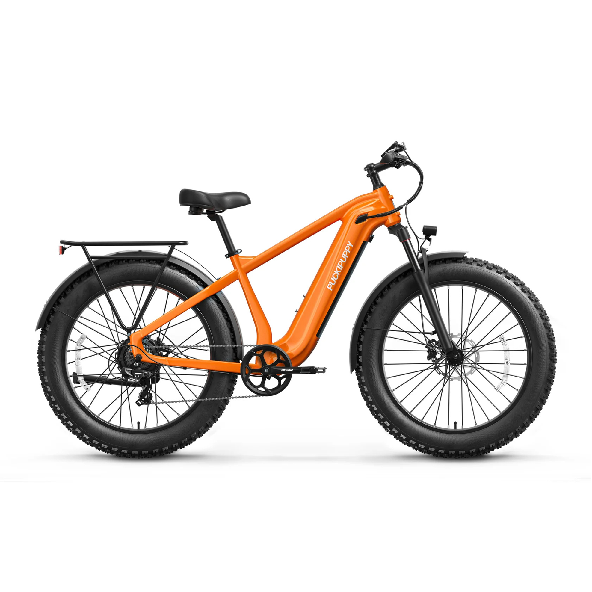 Beagle 2 Ebike