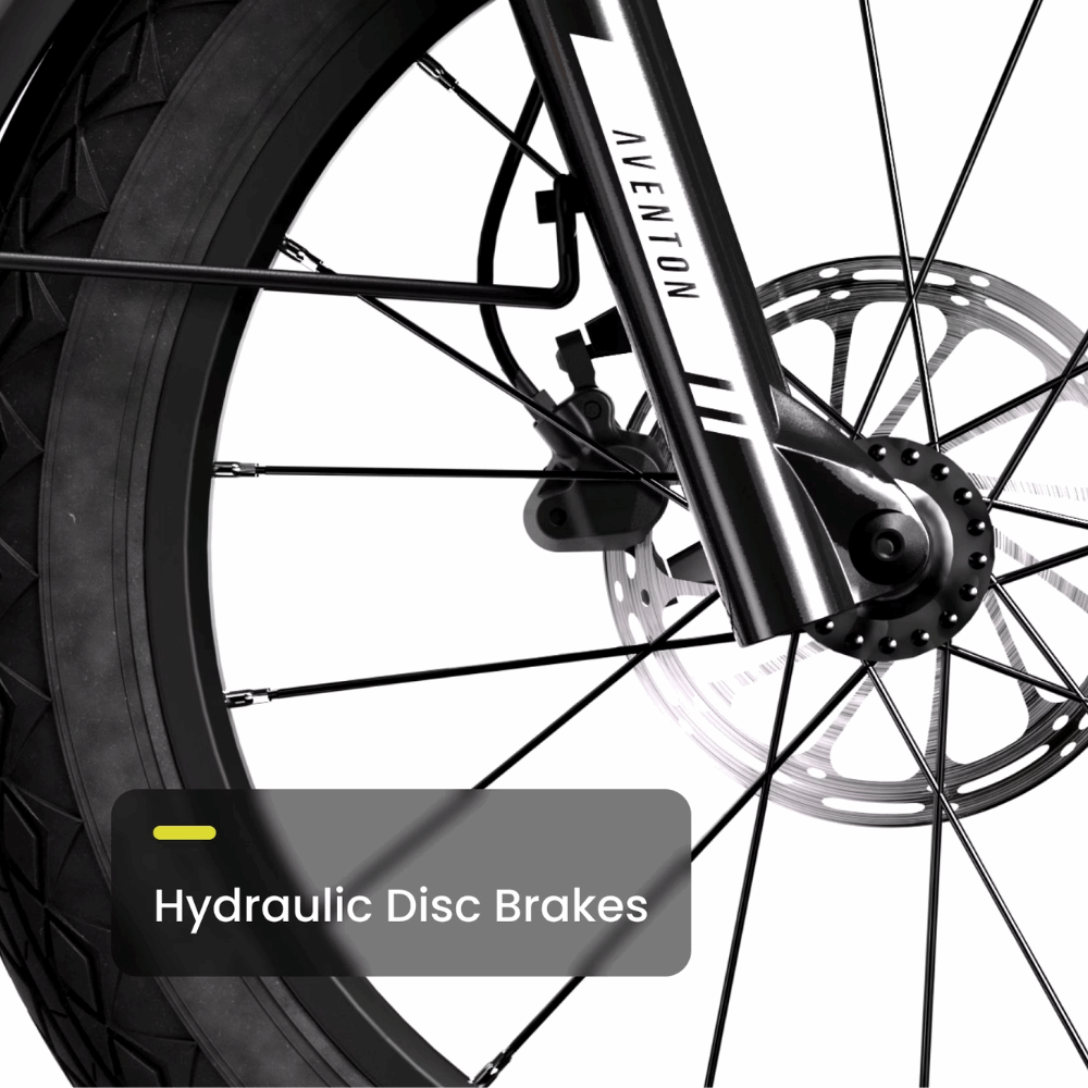 Sinch 2.5 Step-Through E-Bike