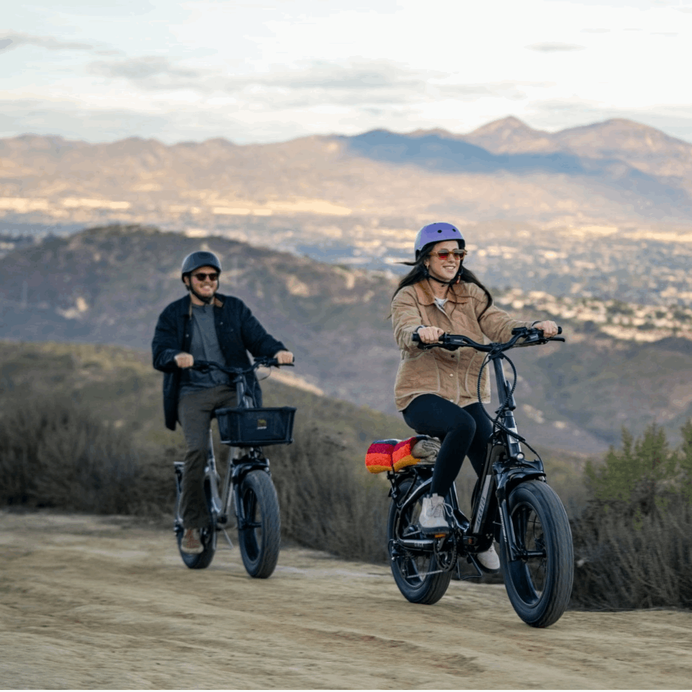 Sinch 2.5 Step-Through E-Bike