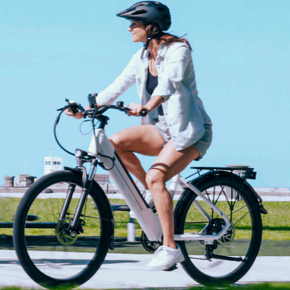 EB650 E-Bike