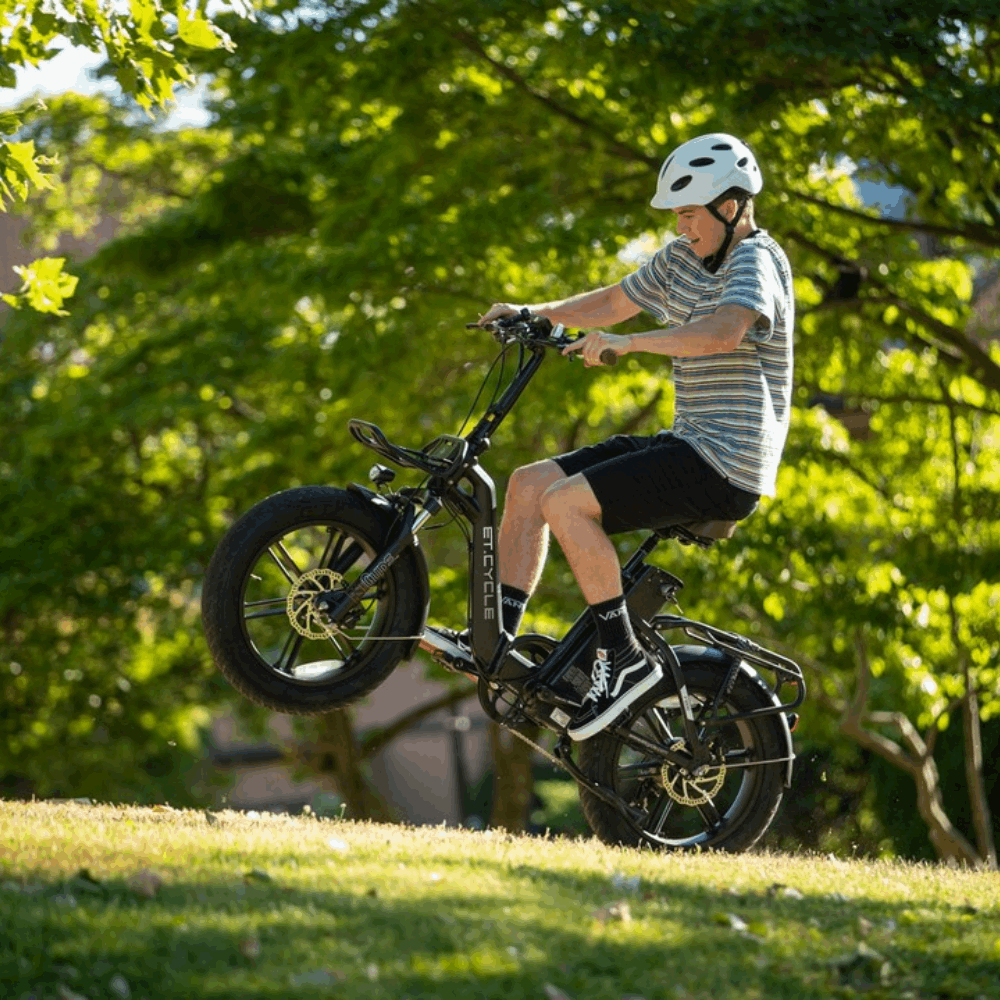 F720 Fat Tire E-Bike