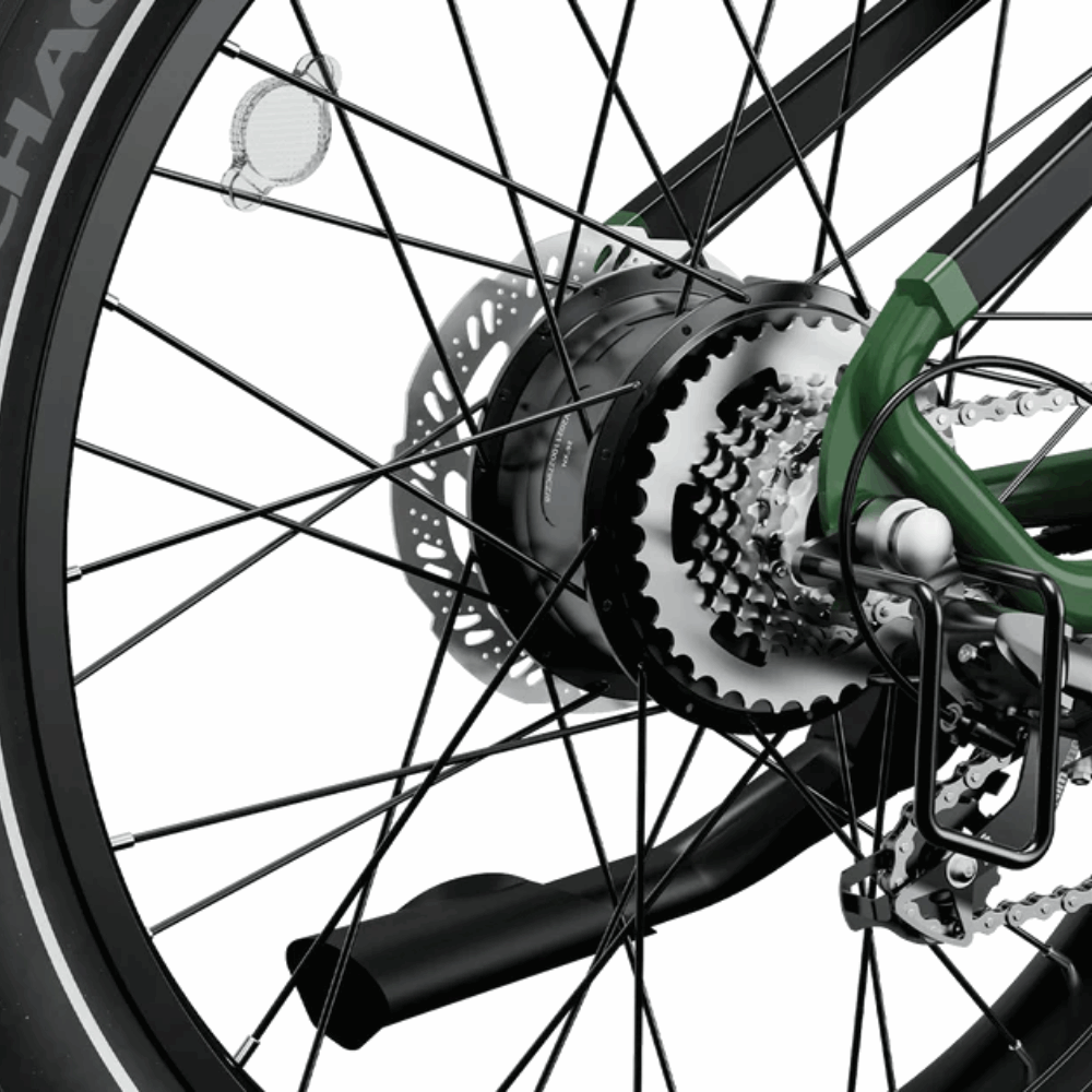 Brawn E-Bike